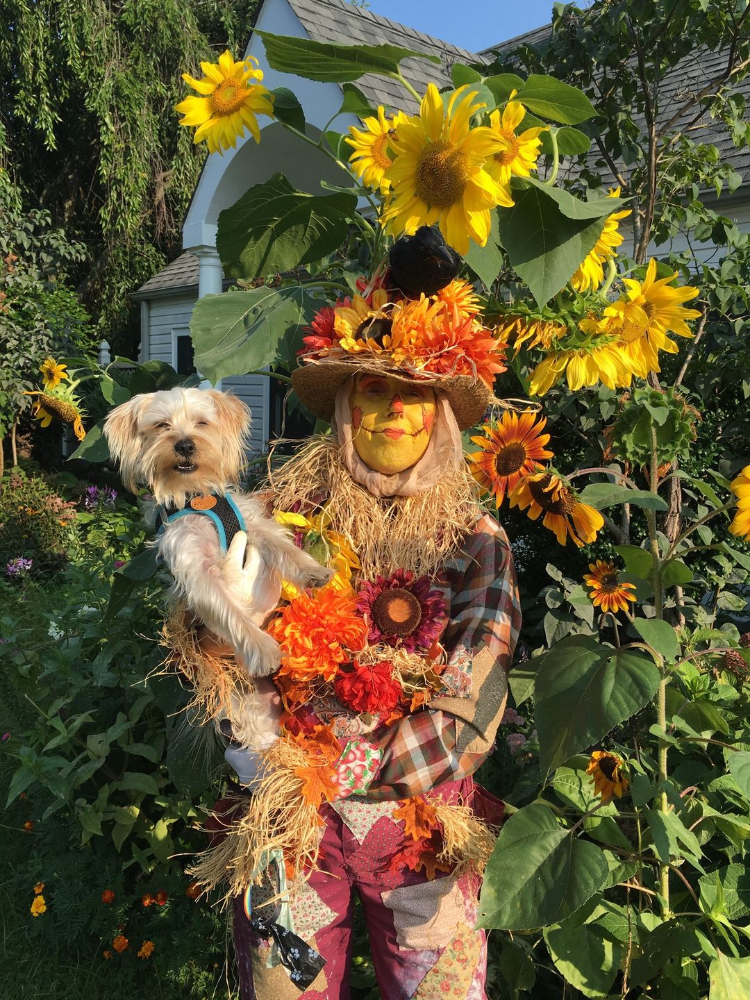 311878752_10227996275558400_5105359924296356873_n